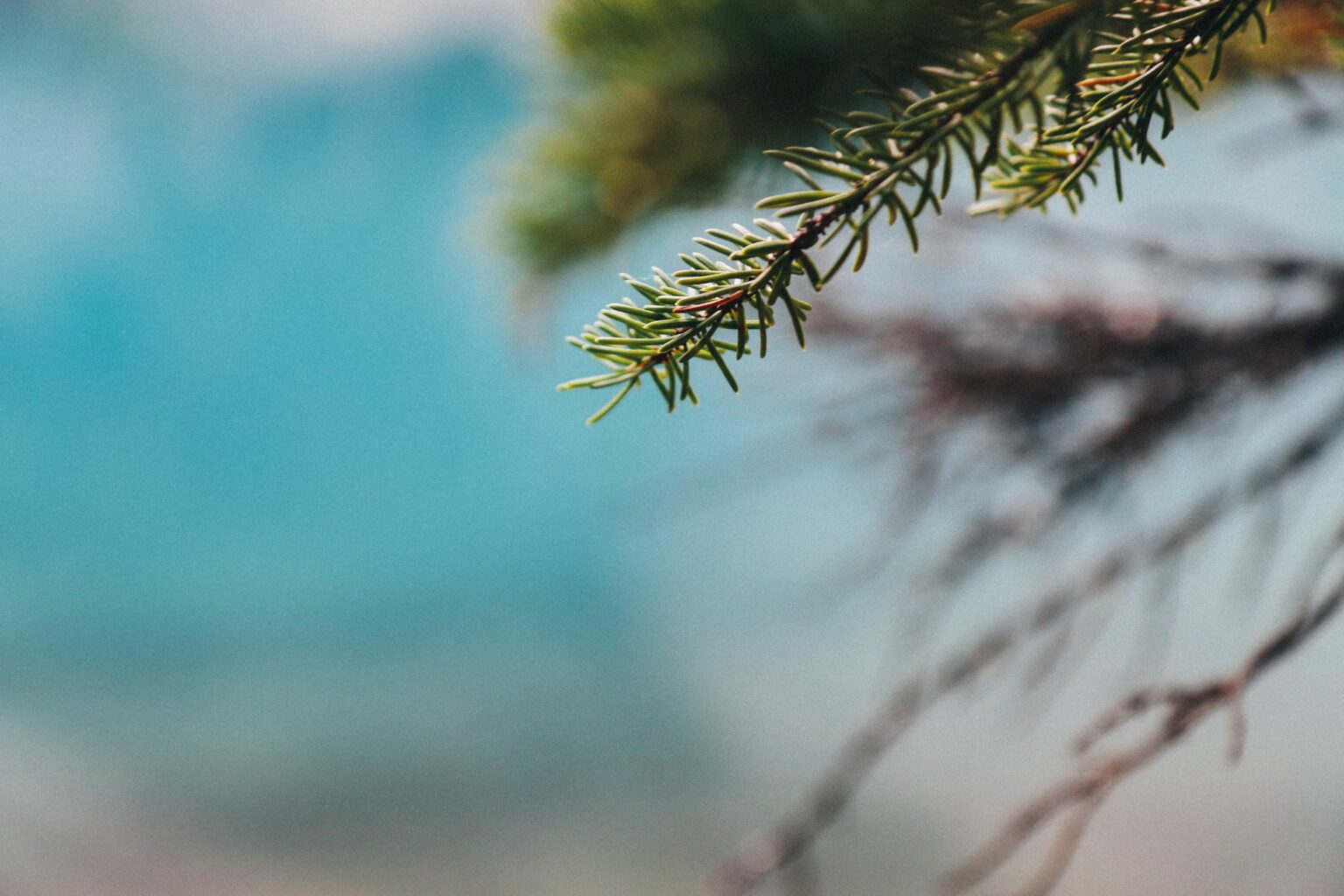 Select Your Perfect Beach House